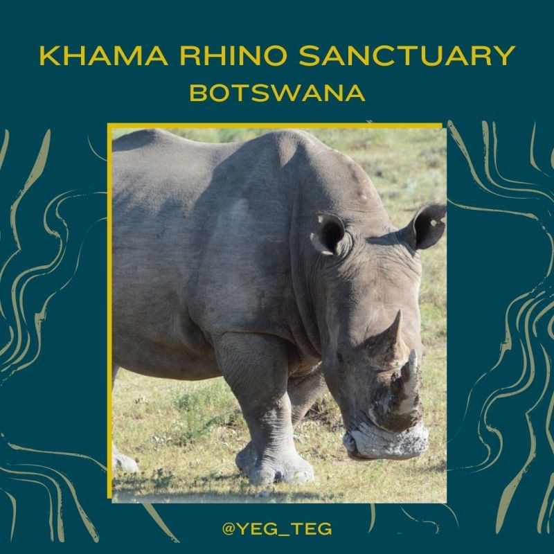 Khama Rhino Sanctuary,&nbsp;Botswana